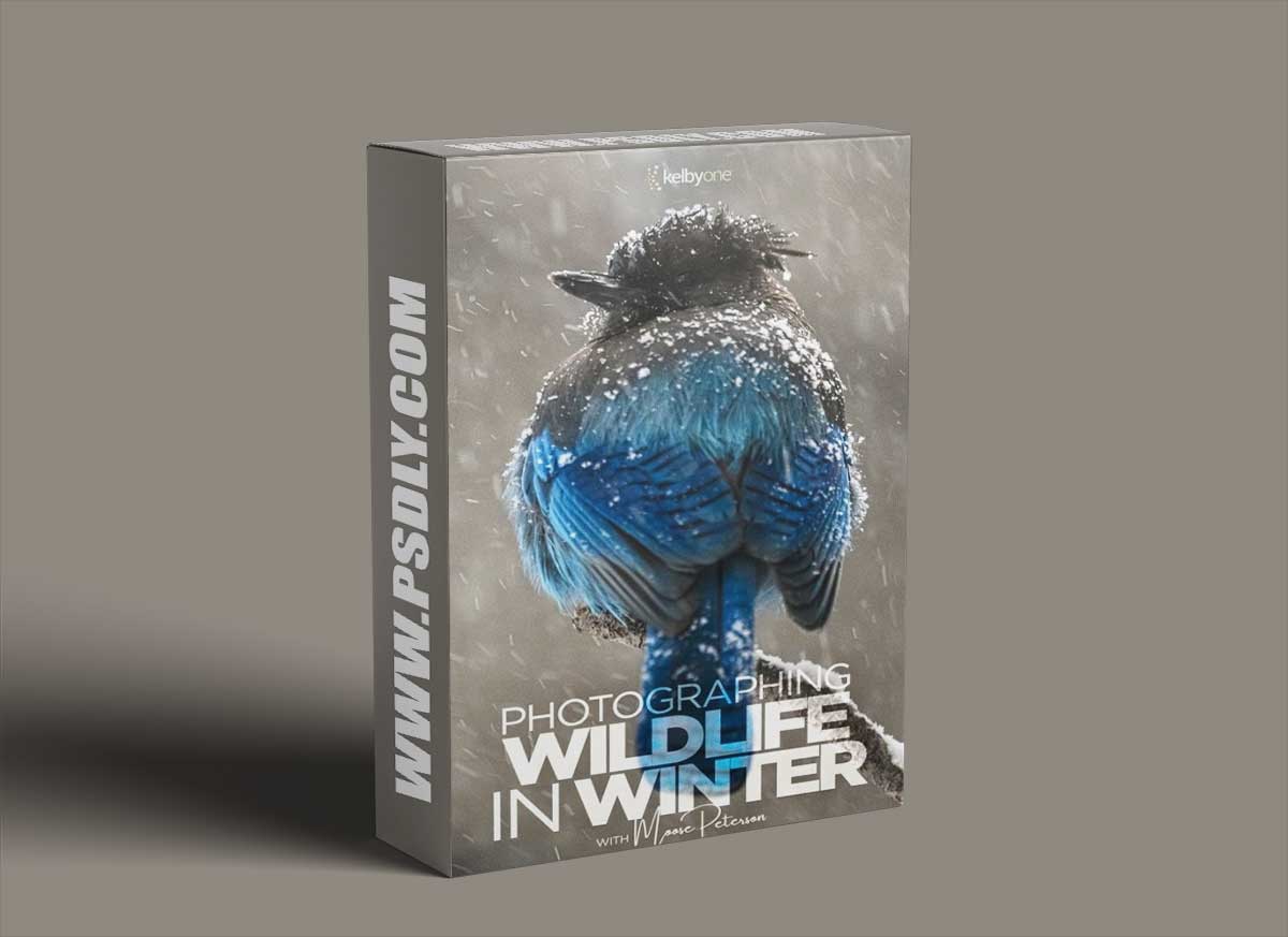 KelbyOne - Photographing Wildlife in Winter 1 KelbyOne - Photographing Wildlife in Winter