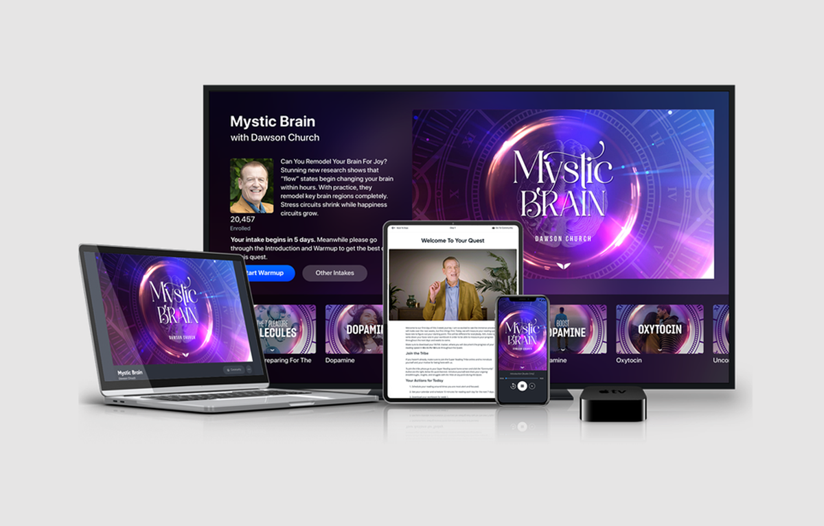 MindValley – Mystic Brain 1 MindValley – Mystic Brain
