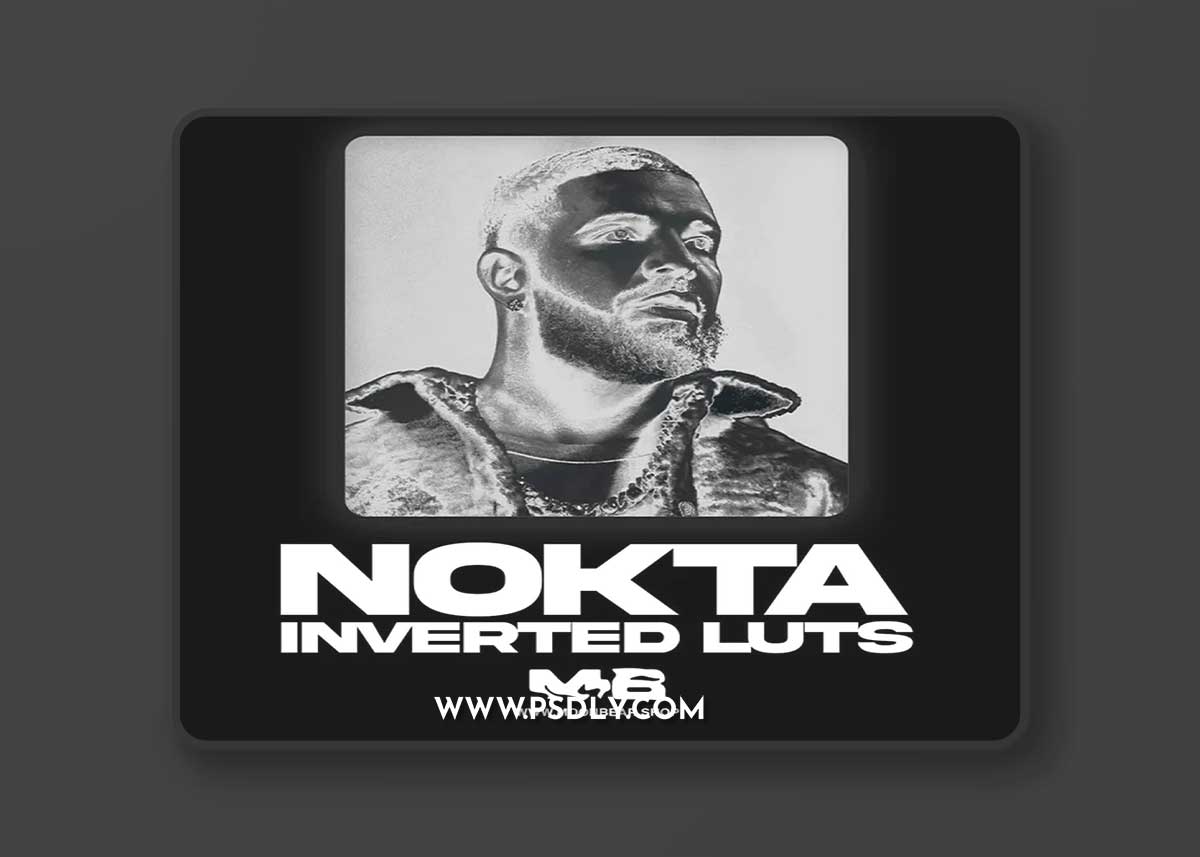 MoonBear - NOKTA Inverted Luts & Filters 1 MoonBear - NOKTA Inverted Luts & Filters