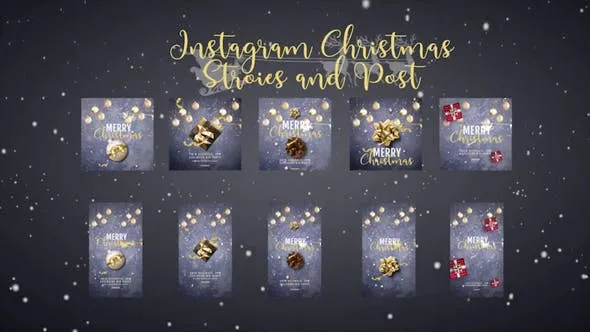 Videohive Instagram Posts 49836738 1 Videohive Instagram Posts 49836738