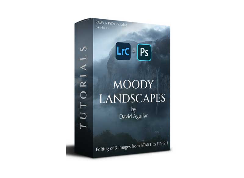 David Aguilar - Moody Landscapes 1 David Aguilar - Moody Landscapes