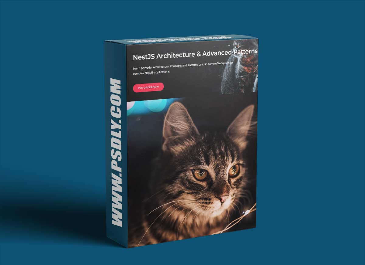 NestJS Architecture & Advanced Patterns 1 NestJS Architecture & Advanced Patterns