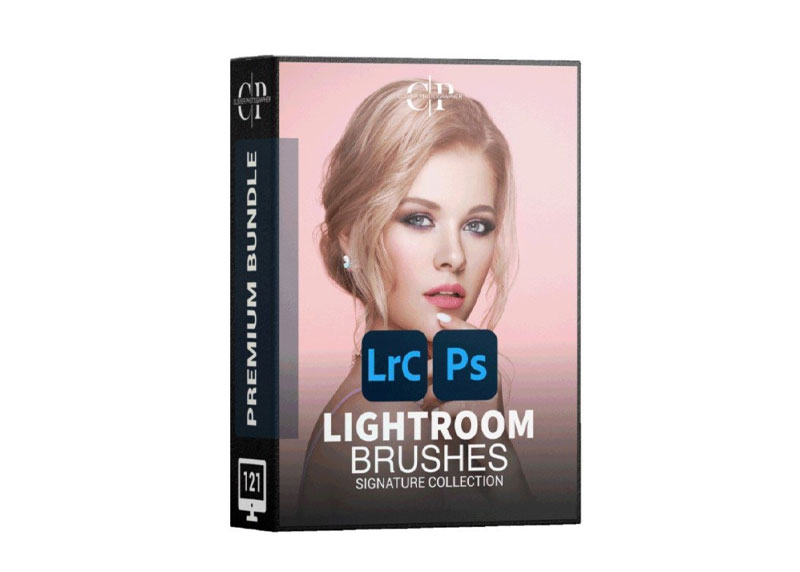 Signature Lightroom Brushes - Clever Photographer 1 Signature Lightroom Brushes - Clever Photographer