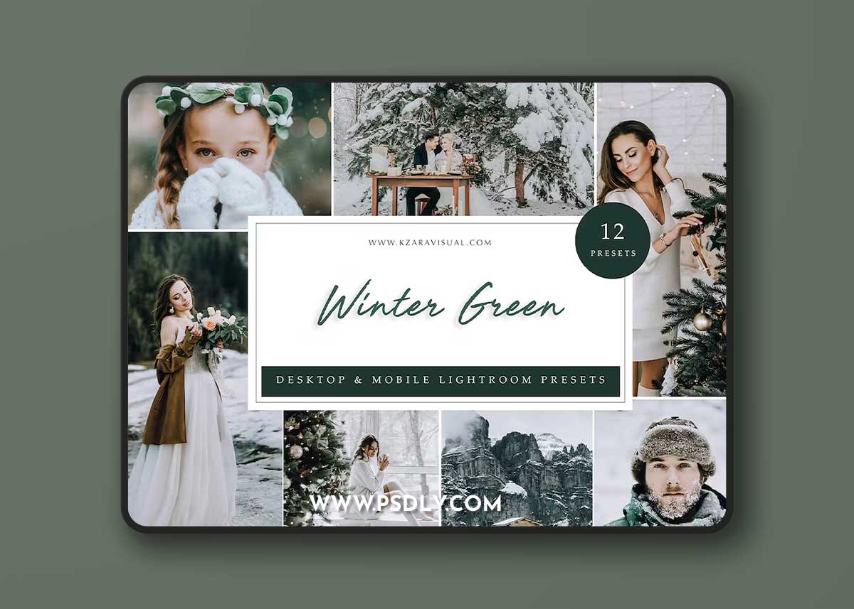 Winter Green - Lightroom Presets HSPDRAW 1 Winter Green - Lightroom Presets HSPDRAW