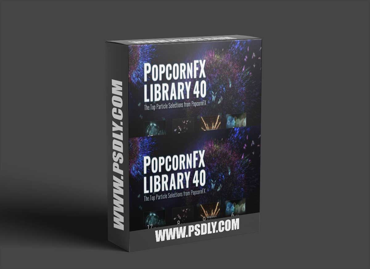 PopcornFX Library 40 + Samples – Reallusion 1 PopcornFX Library 40 + Samples – Reallusion