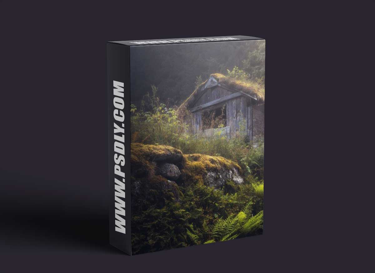 Fredrik Stromme - Haunted House 1 Fredrik Stromme - Haunted House