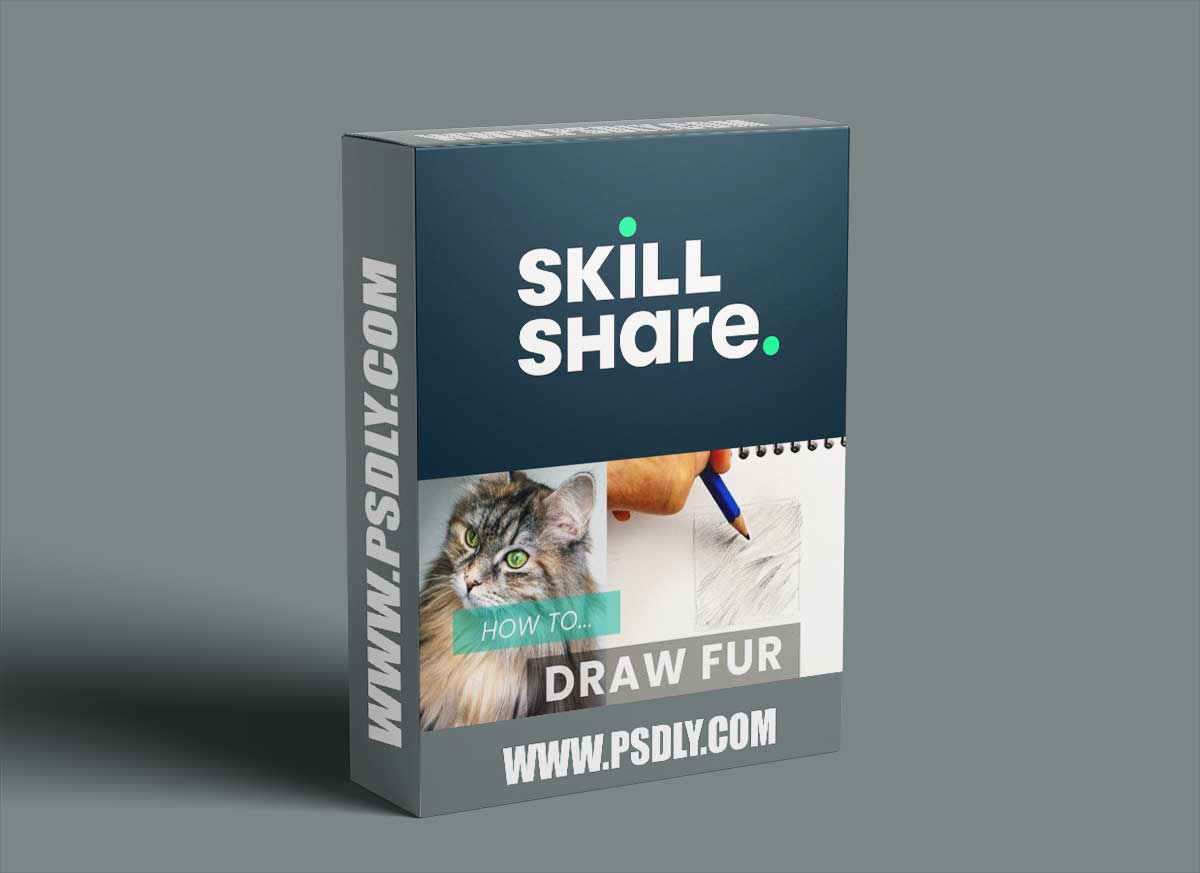 How To Draw Fur: Pencil Shading Techniques For Drawing Animals 1 How To Draw Fur: Pencil Shading Techniques For Drawing Animals
