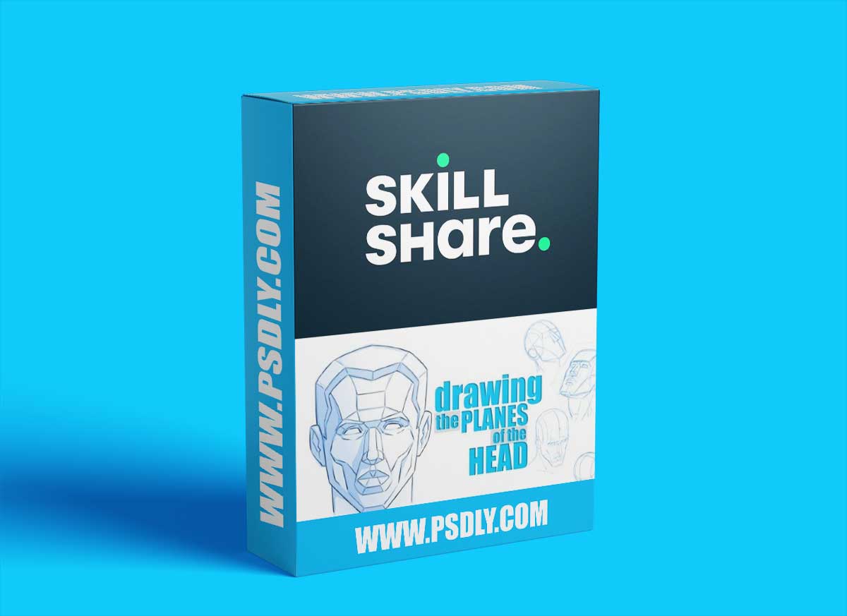 How to Draw the Planes of the Head 1 How to Draw the Planes of the Head