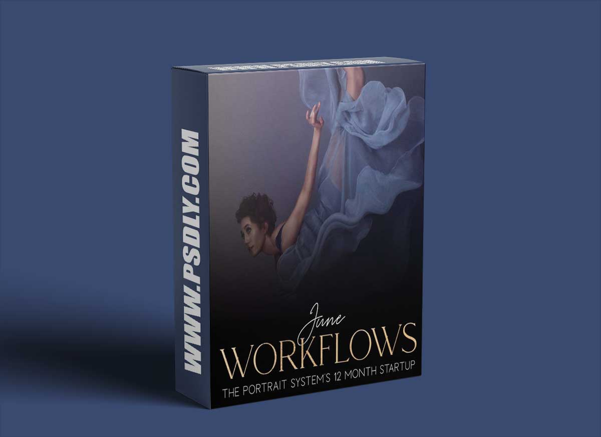The Portrait System - 12 Month Startup Month 06 - Workflow 1 The Portrait System - 12 Month Startup Month 06 - Workflow