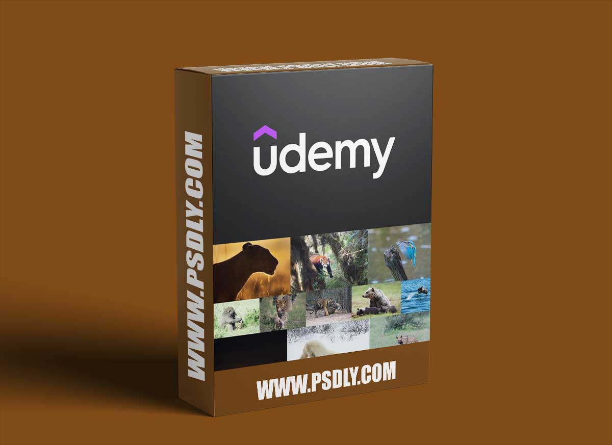 The Ultimate Beginners Guide To Wildlife Photography 1 The Ultimate Beginners Guide To Wildlife Photography