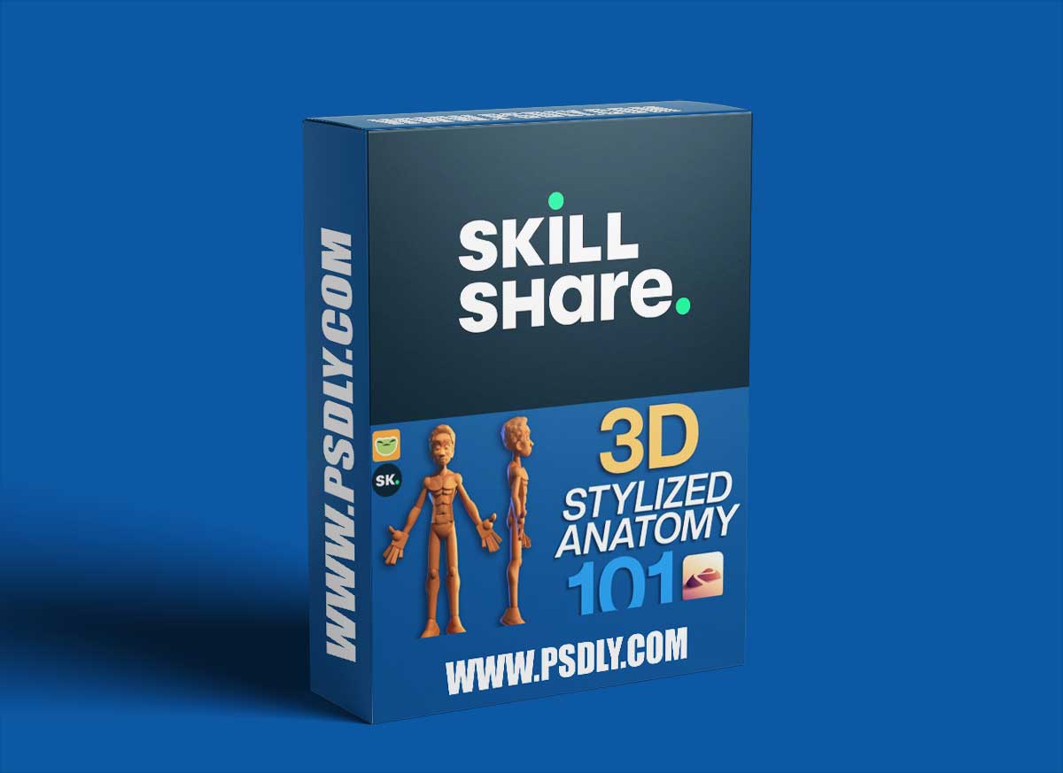 3D Stylized Anatomy 101 with Drugfreedave 1 3D Stylized Anatomy 101 with Drugfreedave