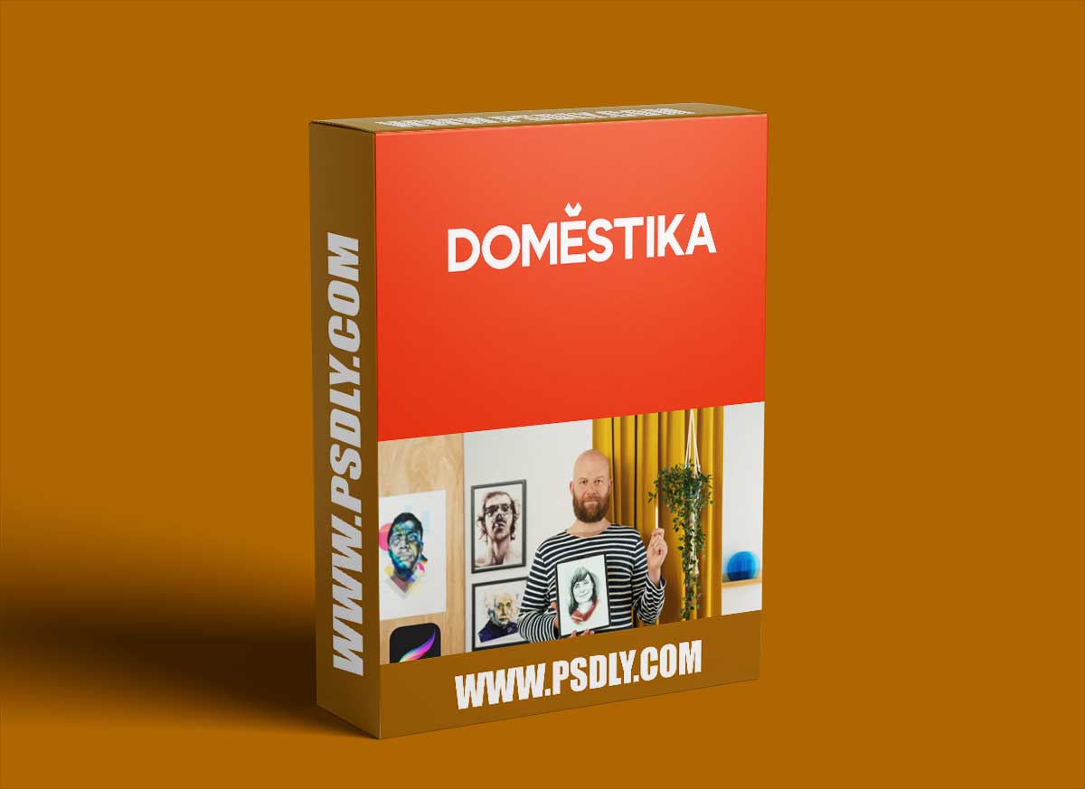 Domestika - Modern Portraiture with Procreate: Stylize Your Subject 1 Domestika - Modern Portraiture with Procreate: Stylize Your Subject