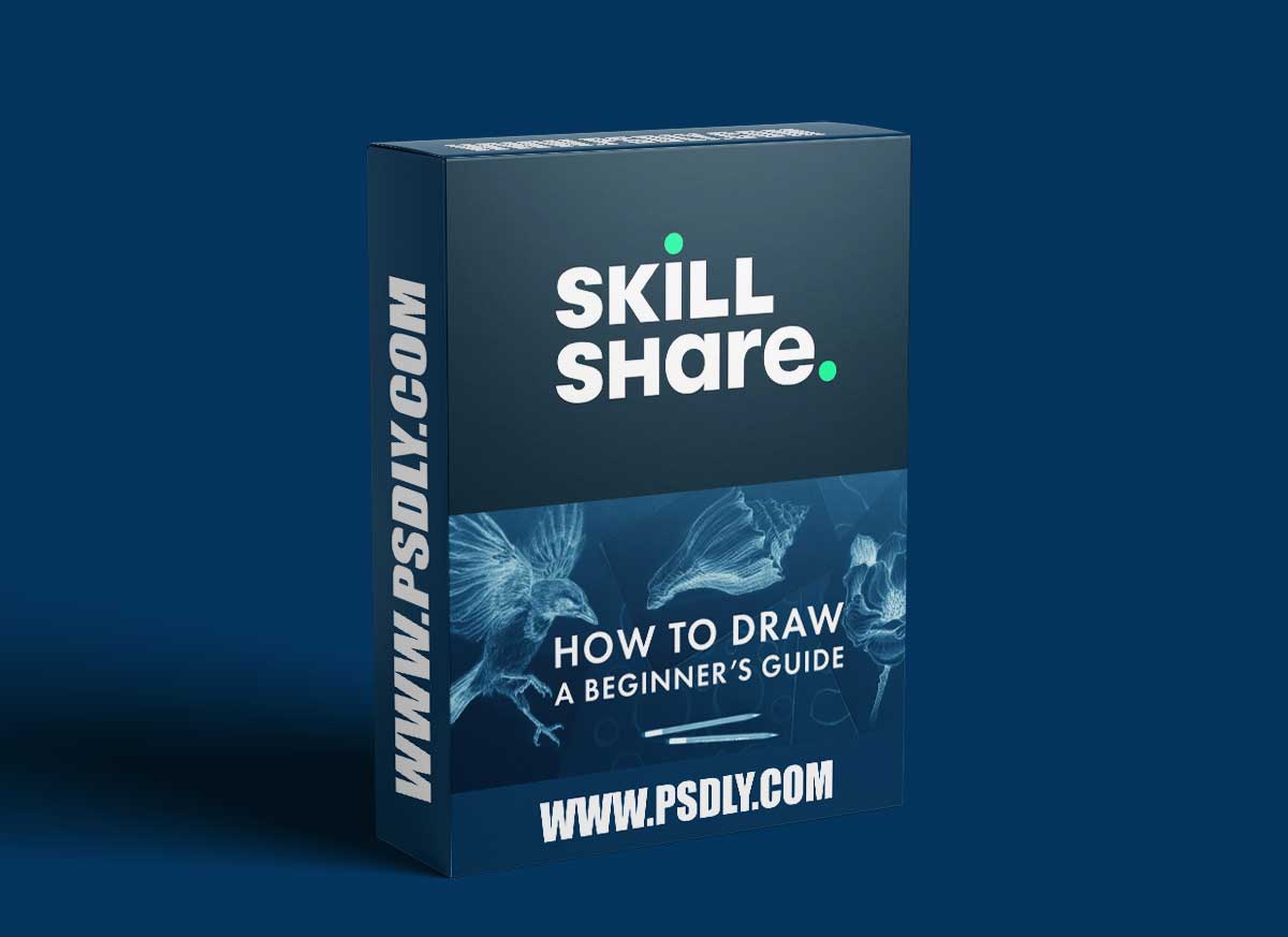 How to Draw: A Beginner’s Guide - Part 1 of The Drawing Laboratory 1 How to Draw: A Beginner’s Guide - Part 1 of The Drawing Laboratory