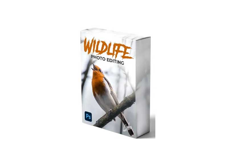 Zenja Gammer - Wildlife Photo Editing Course 1 Zenja Gammer - Wildlife Photo Editing Course