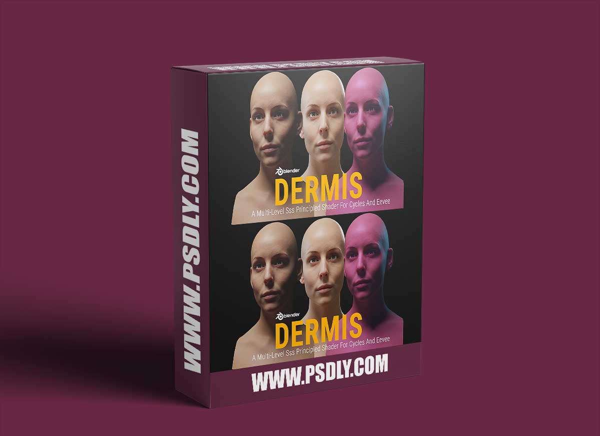 Dermis: A Multi-Level Sss Principled Shader For Cycles (v1.1) 1 Dermis: A Multi-Level Sss Principled Shader For Cycles (v1.1)