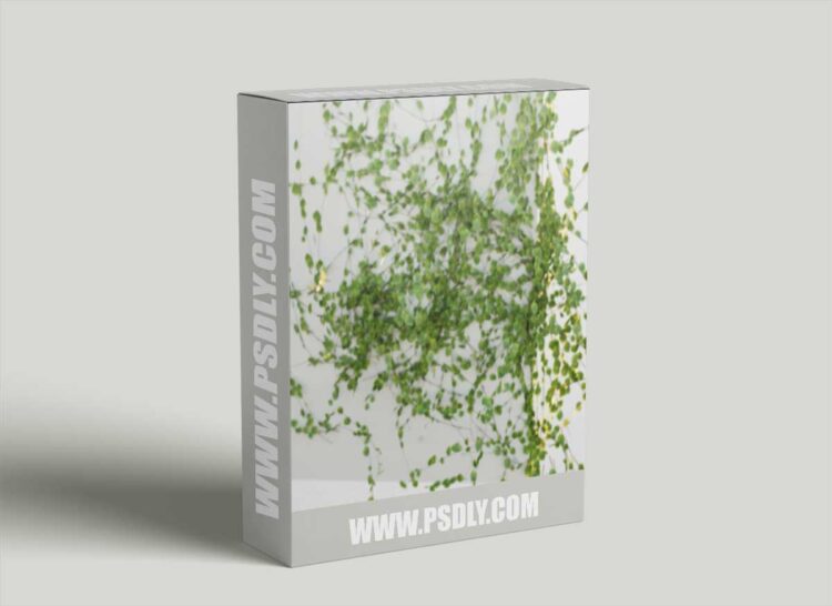 Ivy Generator Pro Blender addon 1.0.0 1 Ivy Generator Pro Blender addon 1.0.0
