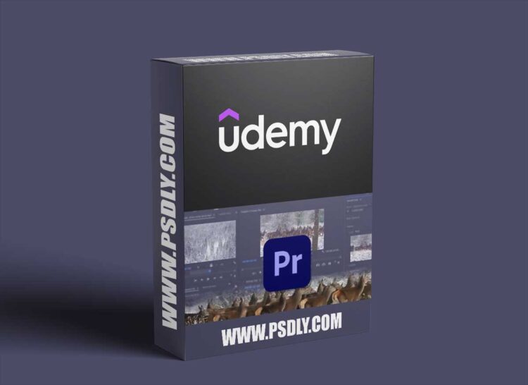 Learn Premiere Pro: Video Editing for Absolute Beginners 1 Learn Premiere Pro: Video Editing for Absolute Beginners