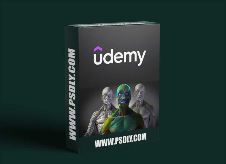 Mastering Human Anatomy For 3D Artists 1 Mastering Human Anatomy For 3D Artists