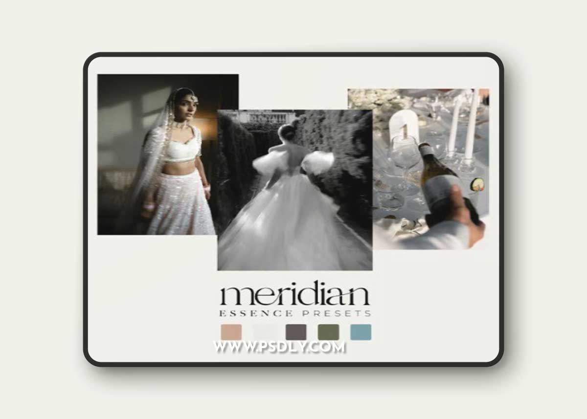 Meridian Presets - Essence Presets 1 Meridian Presets - Essence Presets