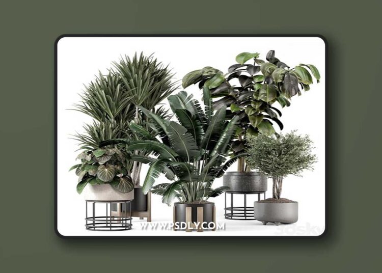 Indoor Plants in Ferm Living Bau Pot Large - Set 1351 1 Indoor Plants in Ferm Living Bau Pot Large - Set 1351
