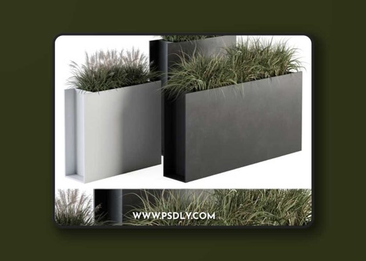 Outdoor Plant Set 288 - Grass in Plant Box 1 Outdoor Plant Set 288 - Grass in Plant Box