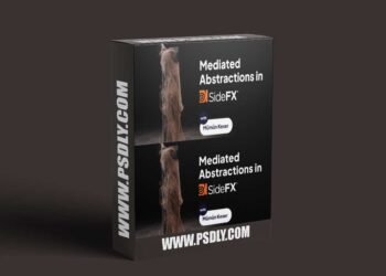 Motion Designers Academy - Mediated Abstractions in SideFX Houdini