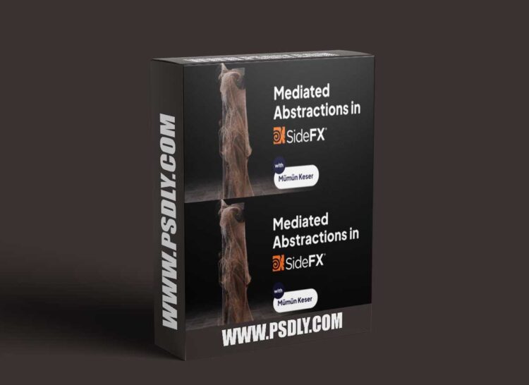 Motion Designers Academy - Mediated Abstractions in SideFX Houdini 1 Motion Designers Academy - Mediated Abstractions in SideFX Houdini