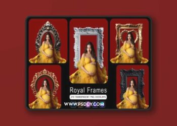 210+ Royal Frames Transparent Overlays