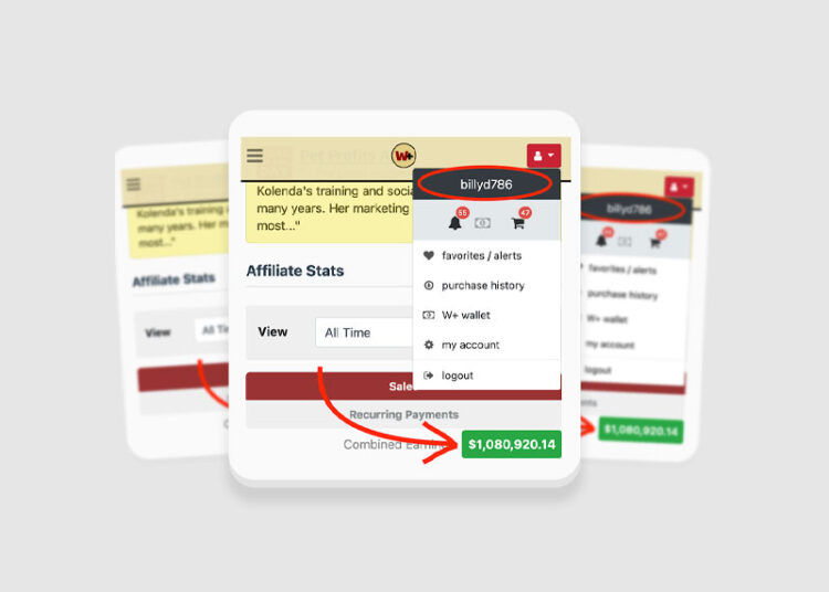 Affiliate Millions – Learn Affiliate Marketing from an Affiliate Millionaire Skoo 1 Affiliate Millions – Learn Affiliate Marketing from an Affiliate Millionaire Skoo