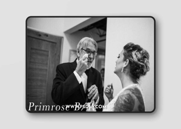 LIGHTROOM DESKTOP Primrose Preset Pack (6 Presets) 1 LIGHTROOM DESKTOP Primrose Preset Pack (6 Presets)
