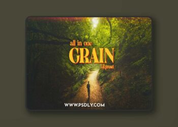 Vmoldo - All in one Grain [Lightroom preset]