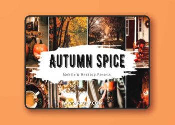 10 Autumn Spice Lightroom Presets