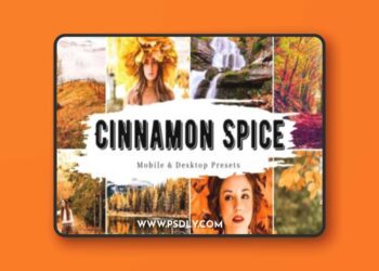 10 Cinnamon Spice Fall Lightroom Presets