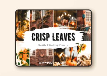 10 Crisp Leaves Lightroom Presets