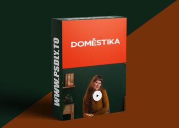 Domestika - Procreate Illustration: Sketching Techniques for the Everyday