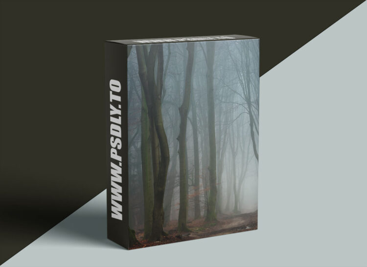Ellen Borggreve - The Magic Of Forest Photography 1 Ellen Borggreve - The Magic Of Forest Photography
