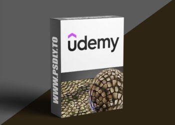 Mastering Stylized Mossy Pavement: Substance Designer Tut