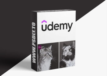 Udemy - Master Cat Portraits: Create Stunning Feline Art with Pastel