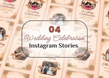 Videohive Wedding Celebration Instagram Stories 54326044