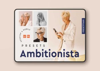 Ambitionista Business Portrait Presets P6DEAMB