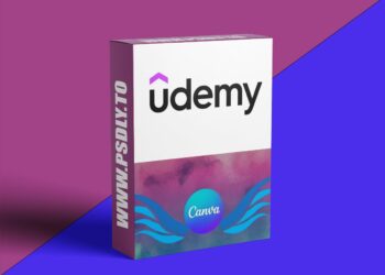 Mastering Canva Through Real Projects: From Beginner to Pro