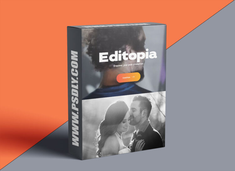 Two Mann U - Editopia Course - Empower your post production 1 Two Mann U Editopia Course Download
