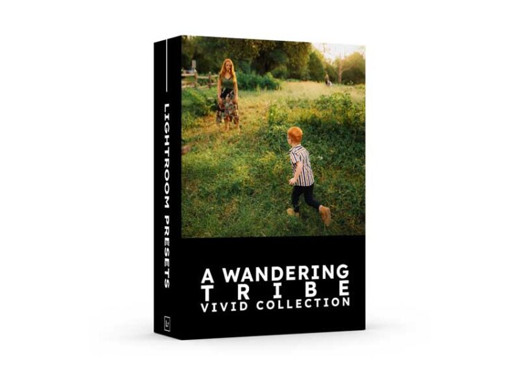A Wandering Tribe - Vivid Presets Collection 1 A Wandering Tribe - Vivid Presets Collection