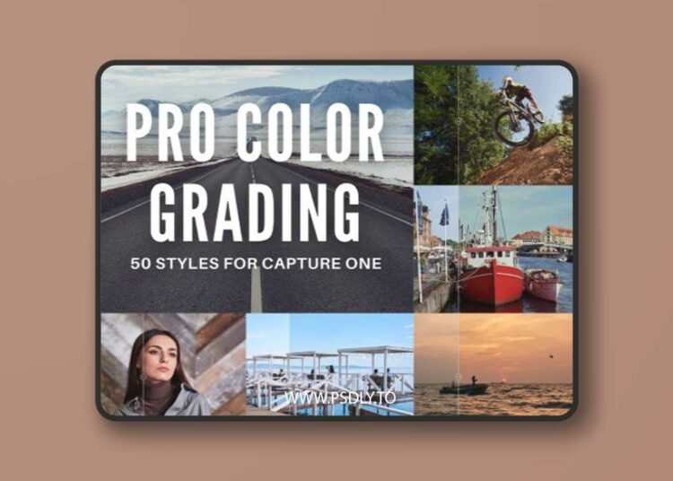 Alex on Raw - Pro Color Grading Styles 1 Alex on Raw - Pro Color Grading Styles