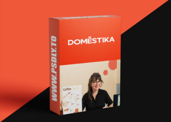 Domestika - Visual Storytelling Through Infographics