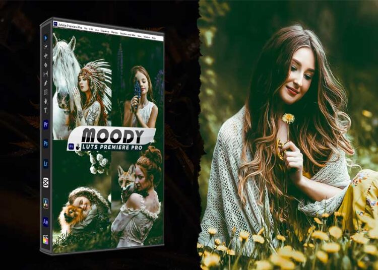 Moody Portrait Lightroom Presets & luts Premiere LBU7CA3 1 Moody-Portrait-Lightroom-Presets-&-luts-Premiere-LBU7CA3