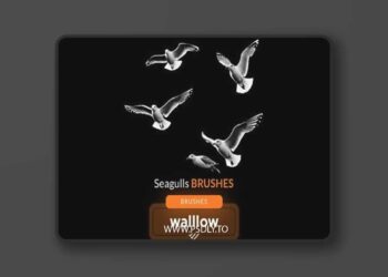 Seagull photoshop brushes for photo editing DWN7M92