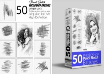 50 Pencil Sketch Brush Bundle
