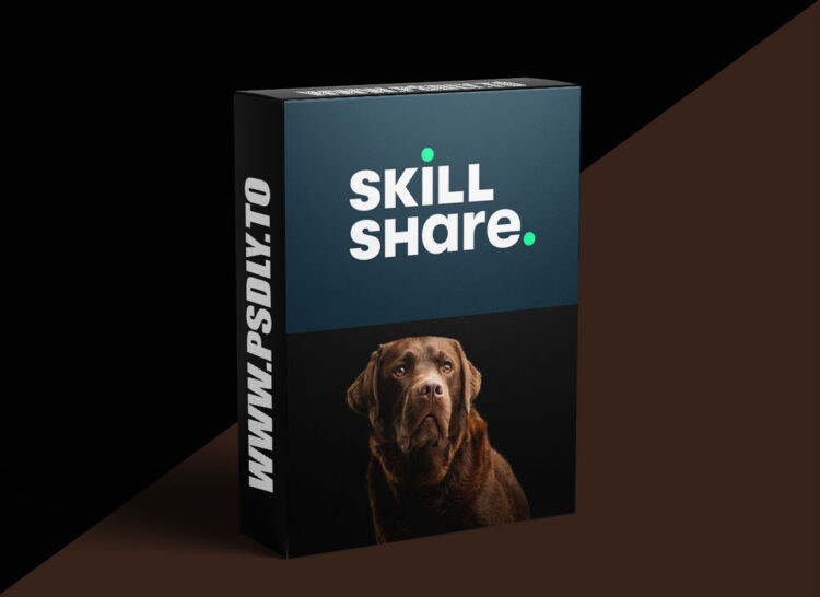 Portrait Photography: Five Ideas For Photographing Dogs 1 Portrait Photography: Five Ideas For Photographing Dogs