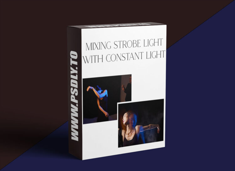 The Portrait Masters - Mixing Strobe Light with Constant Light 1 The Portrait Masters - Mixing Strobe Light with Constant Light